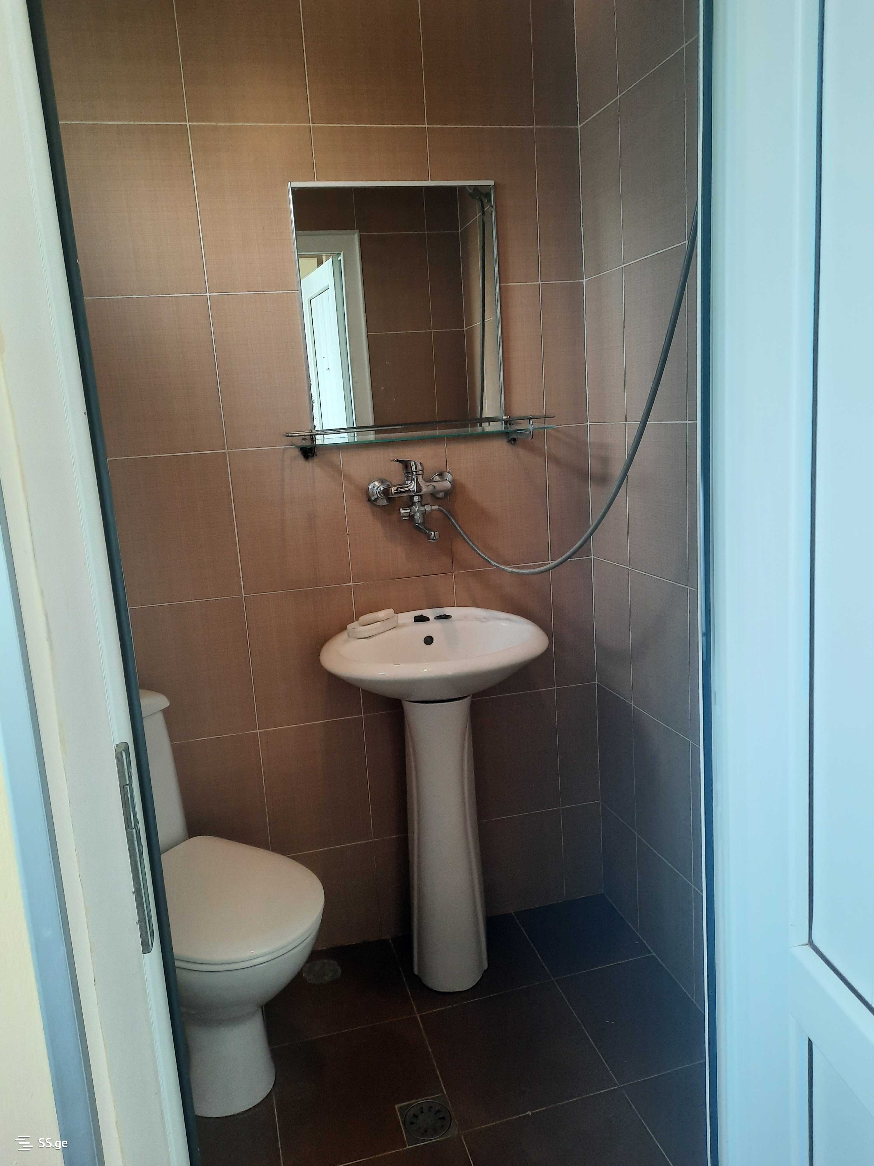 1 Room Private House Daily Rent. Borjomi view 8