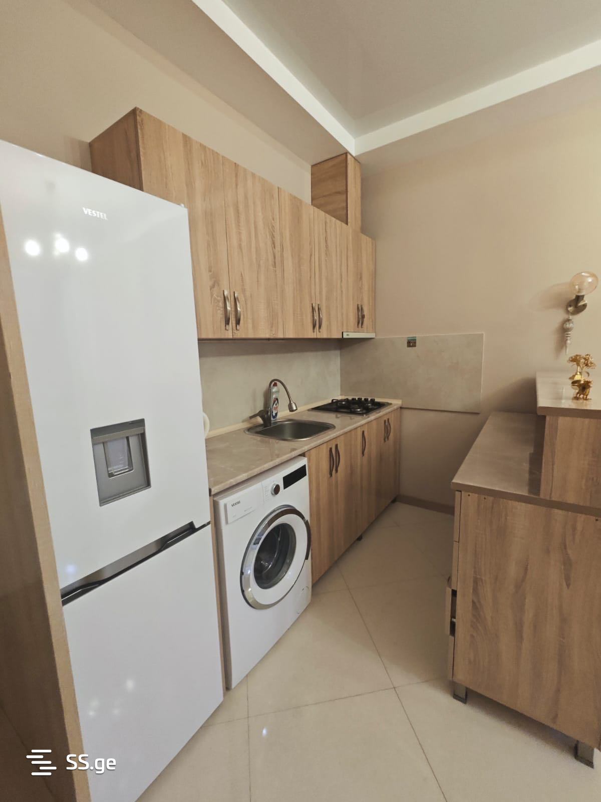 2 Room Flat Daily Rent. Kutaisi view 5