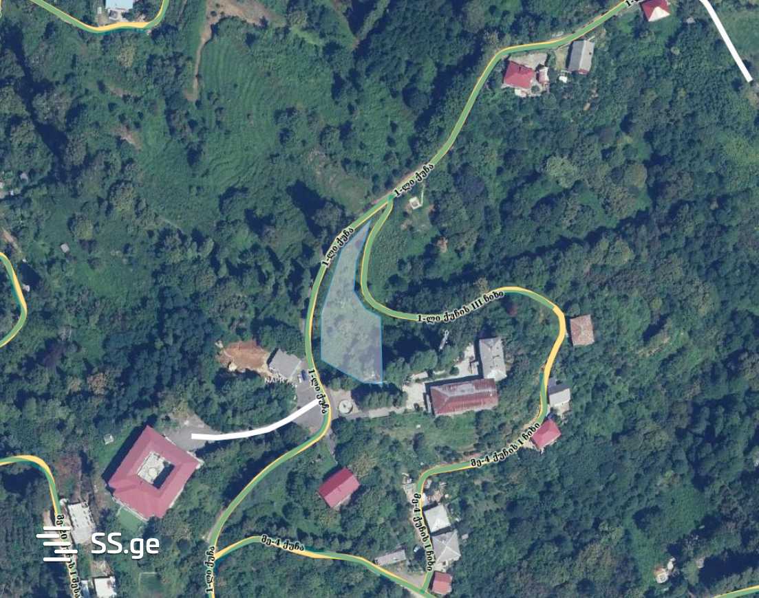 Land For Sale. Tsikhisdziri view 4