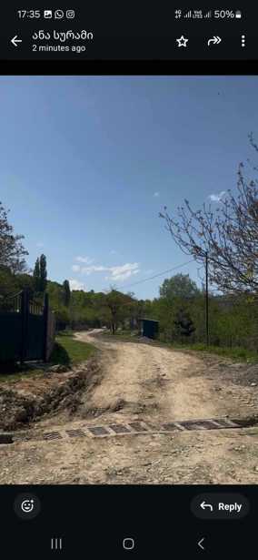 https://static.ss.ge/20250528/17_46ced4e5-6c33-4e9c-8358-2e09ffd20800_Thumb.jpg