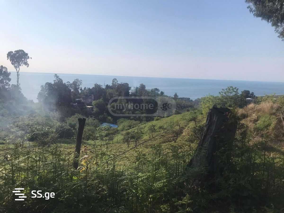 Land For Sale. Tsikhisdziri view 3