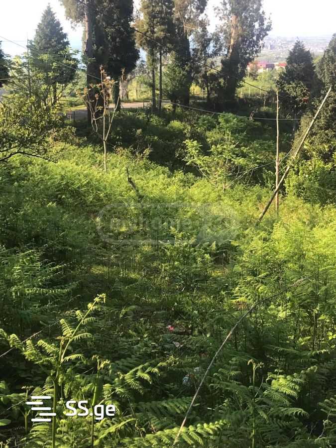 Land For Sale. Tsikhisdziri view 6