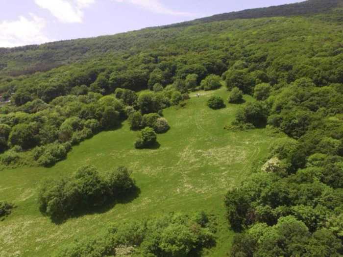 Land For Sale. Tsavkisi