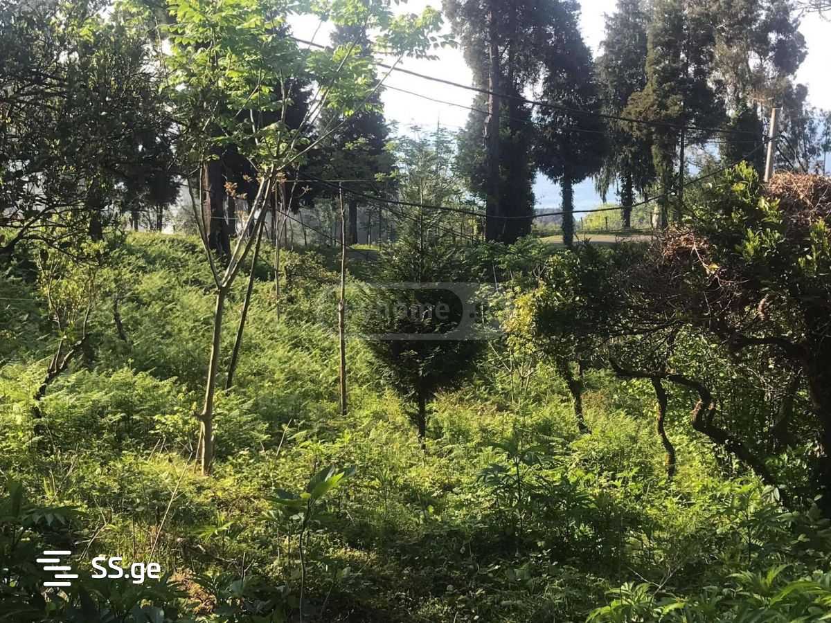 Land For Sale. Tsikhisdziri view 2