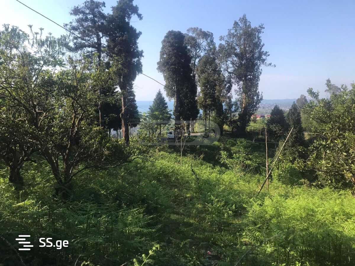 Land For Sale. Tsikhisdziri view 1