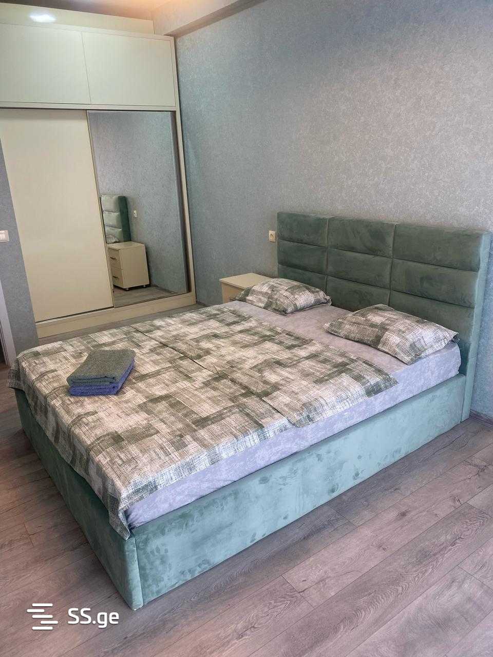 2 Room Flat Daily Rent. Rustavi view 7