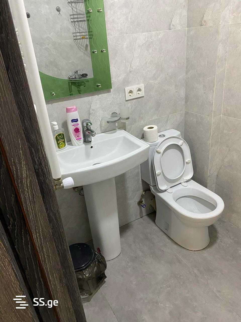 2 Room Flat Daily Rent. Rustavi view 5