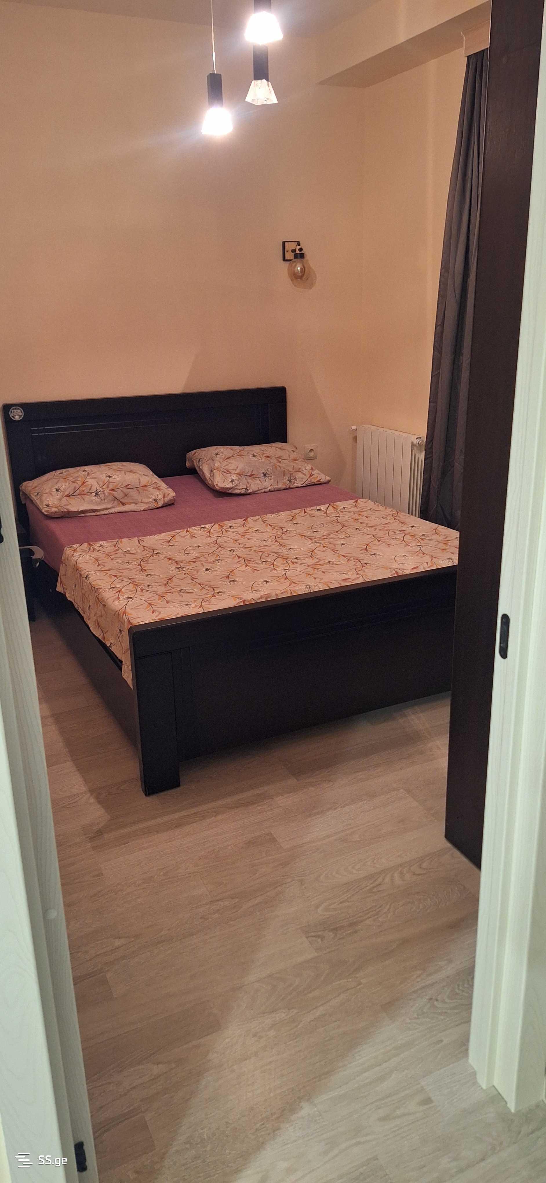 2 Room Flat Daily Rent. Rustavi view 2