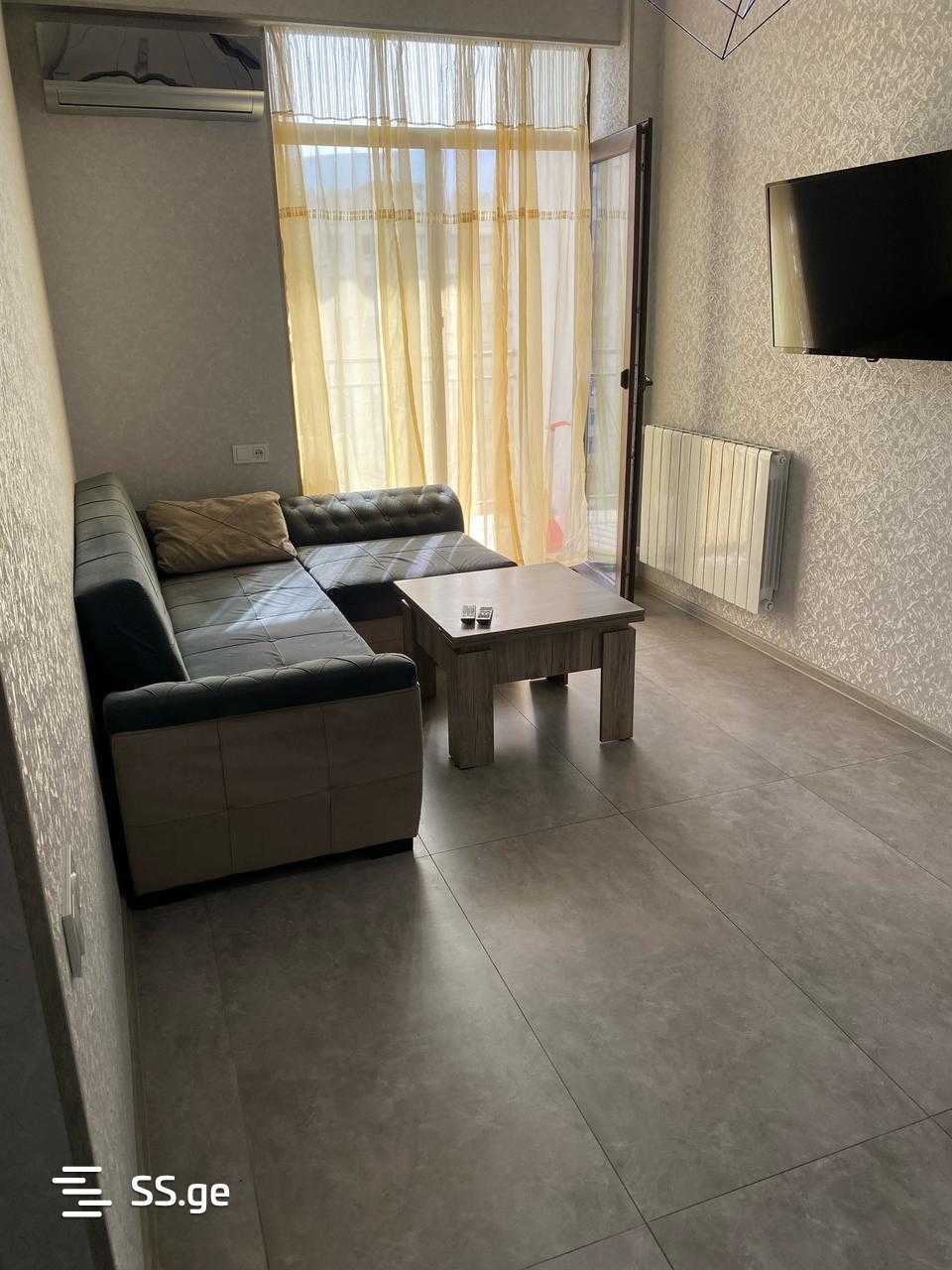 2 Room Flat Daily Rent. Rustavi view 8