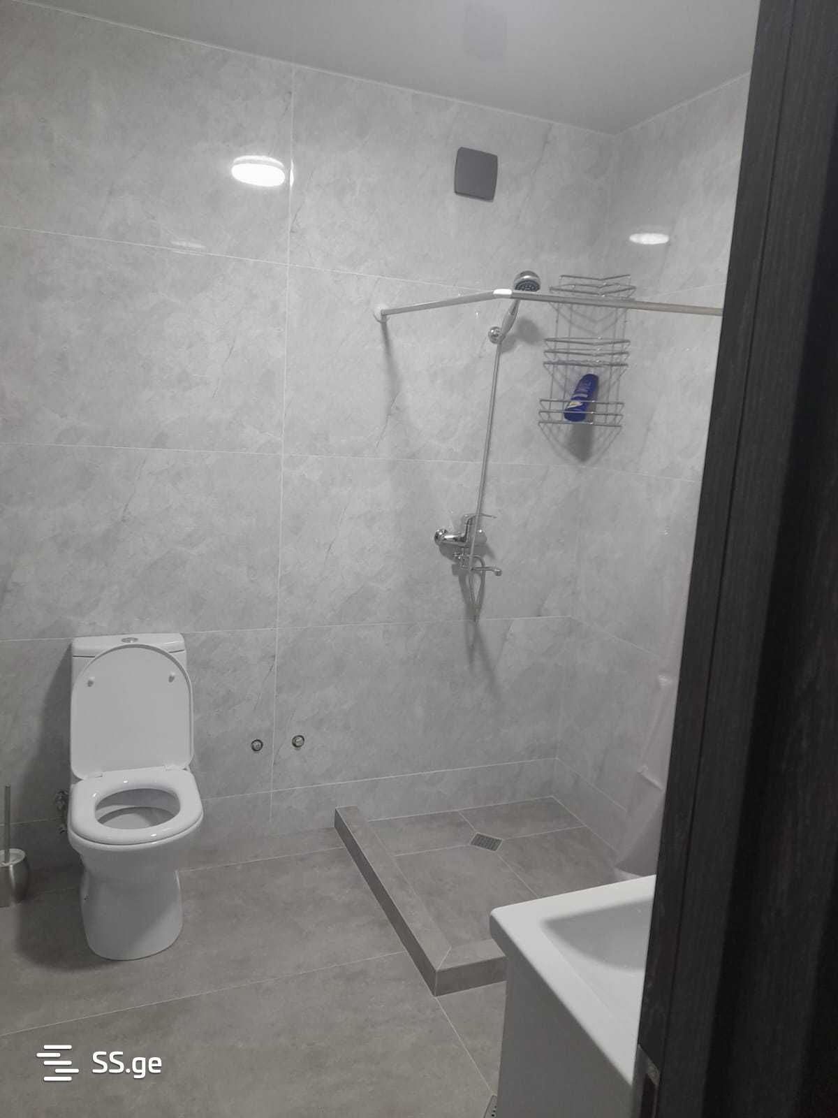 3 Room Flat Daily Rent. Rustavi view 5