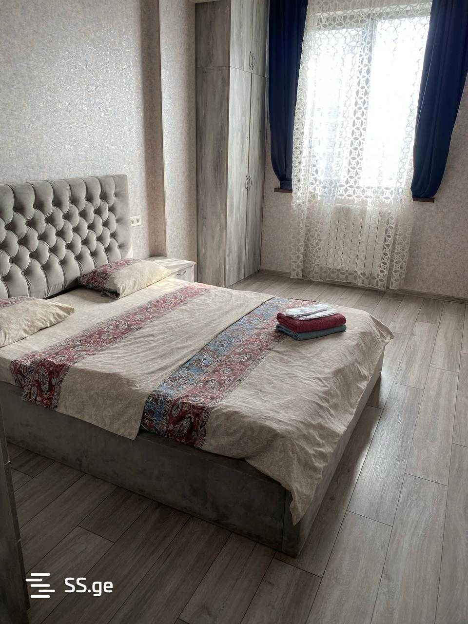 2 Room Flat Daily Rent. Rustavi view 3