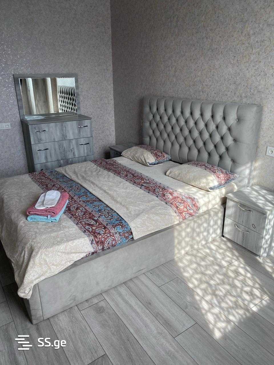 2 Room Flat Daily Rent. Rustavi view 4