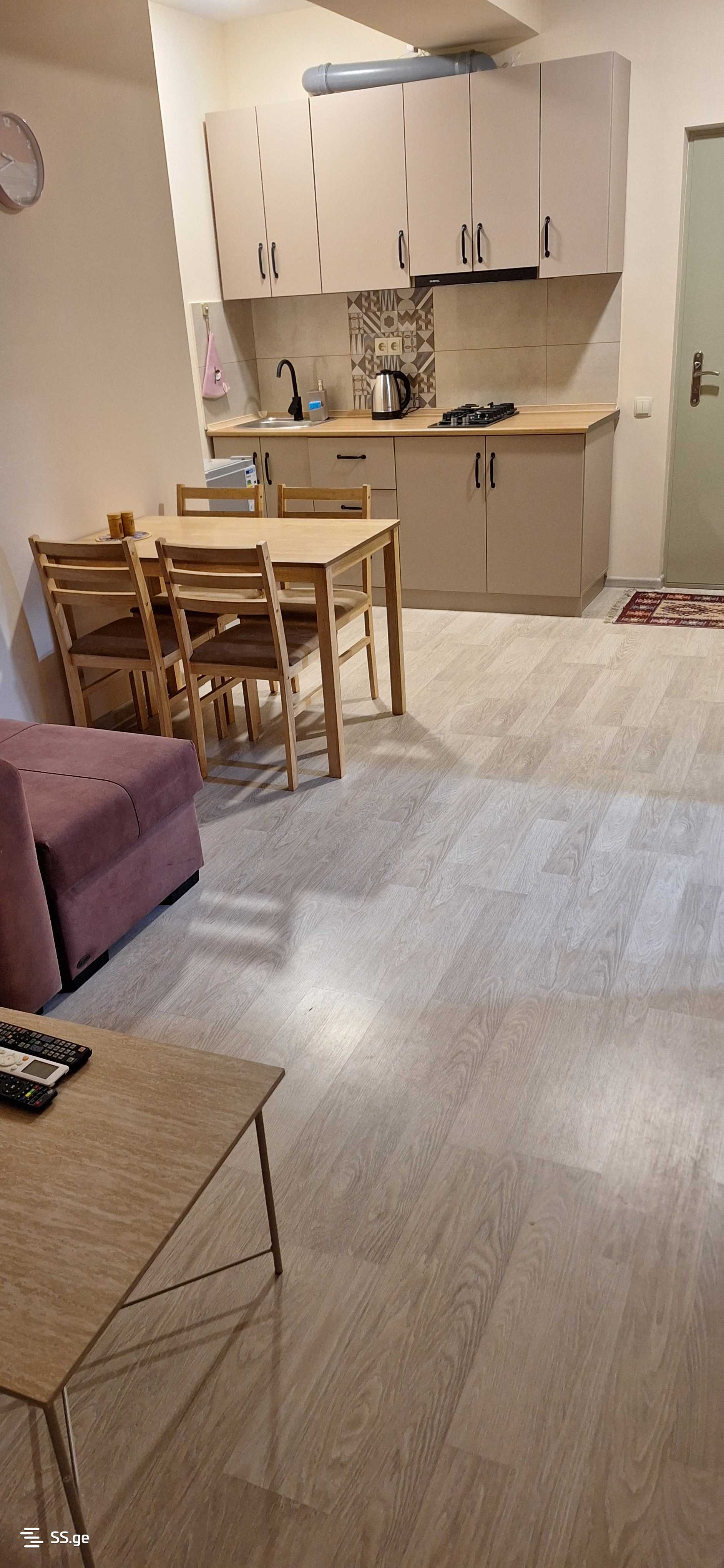 2 Room Flat Daily Rent. Rustavi view 4