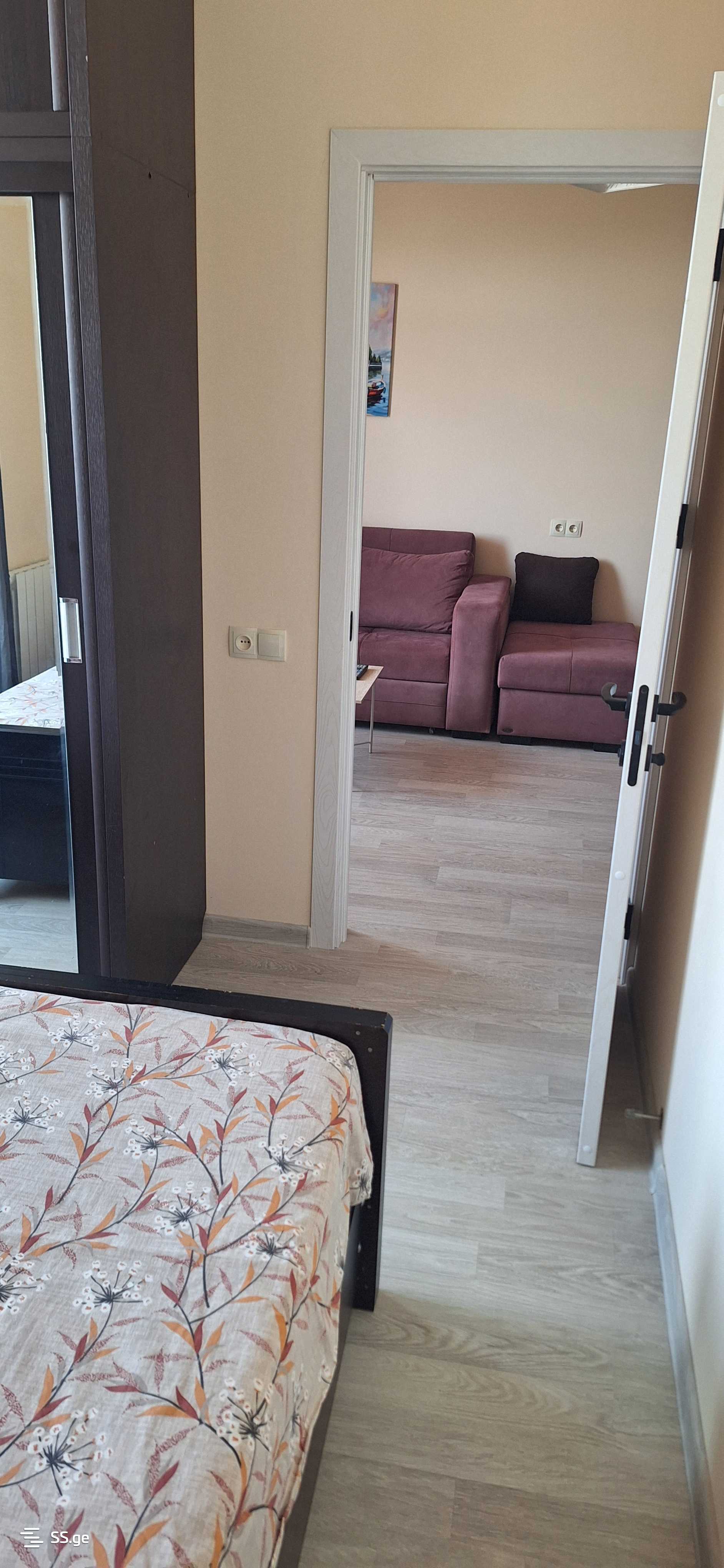 2 Room Flat Daily Rent. Rustavi view 5