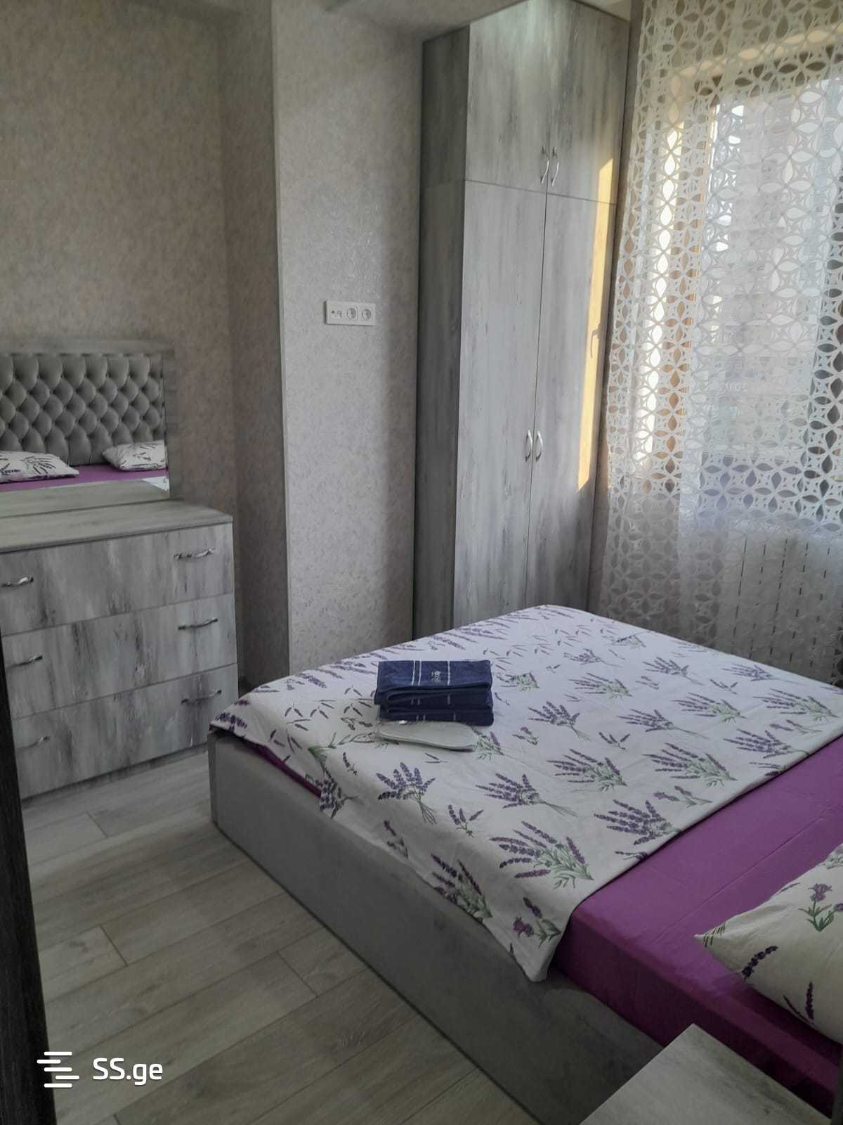 3 Room Flat Daily Rent. Rustavi view 8