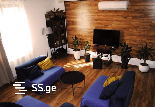 5 Room Private House Daily Rent. Mtskheta view 9