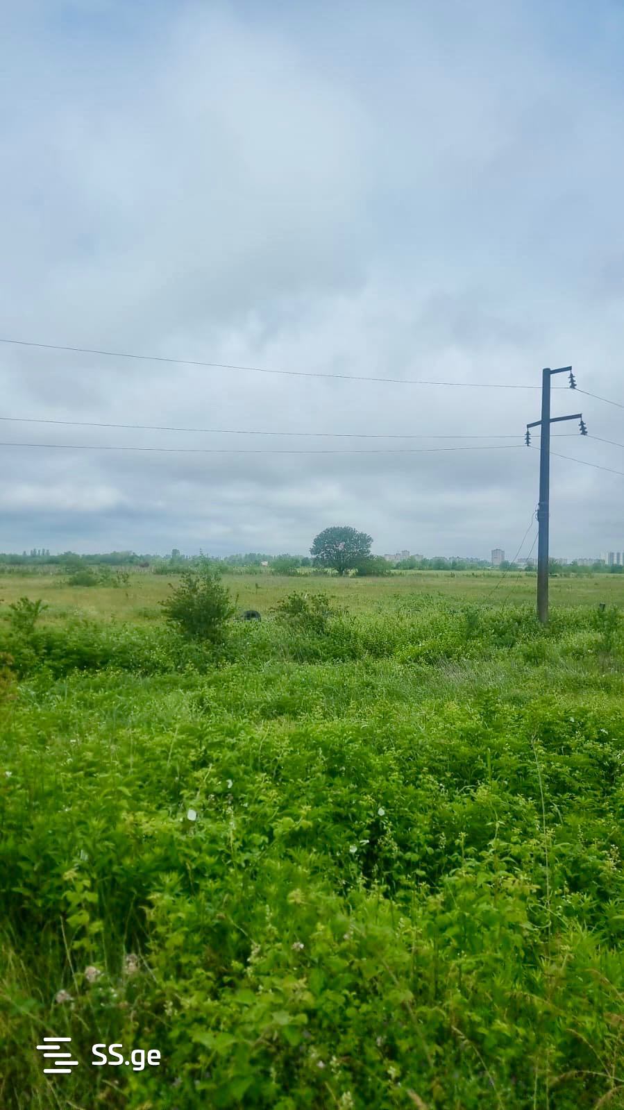 Land For Sale. Kutaisi view 7