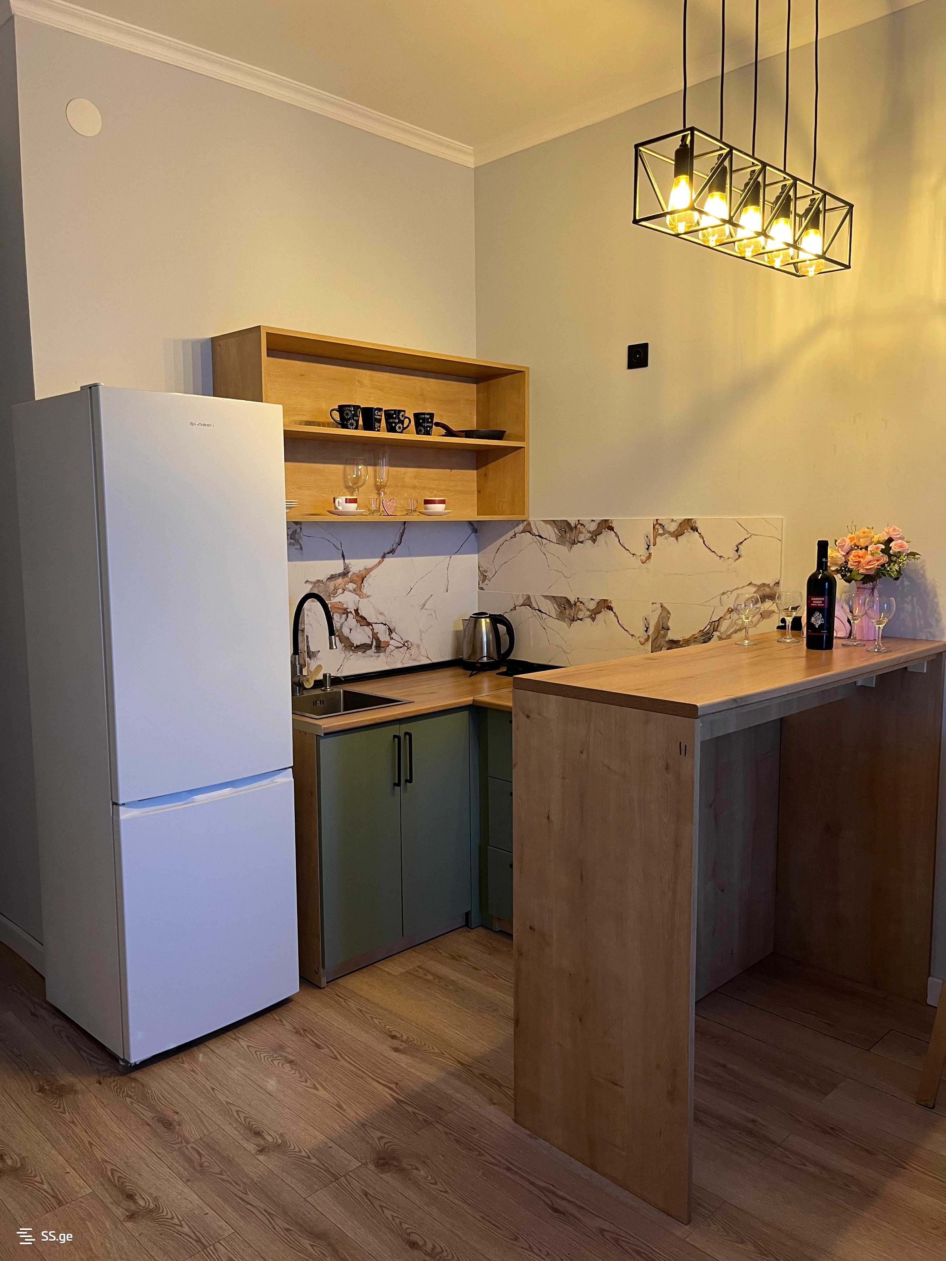1 Room Flat Daily Rent. Nadzaladevi view 7