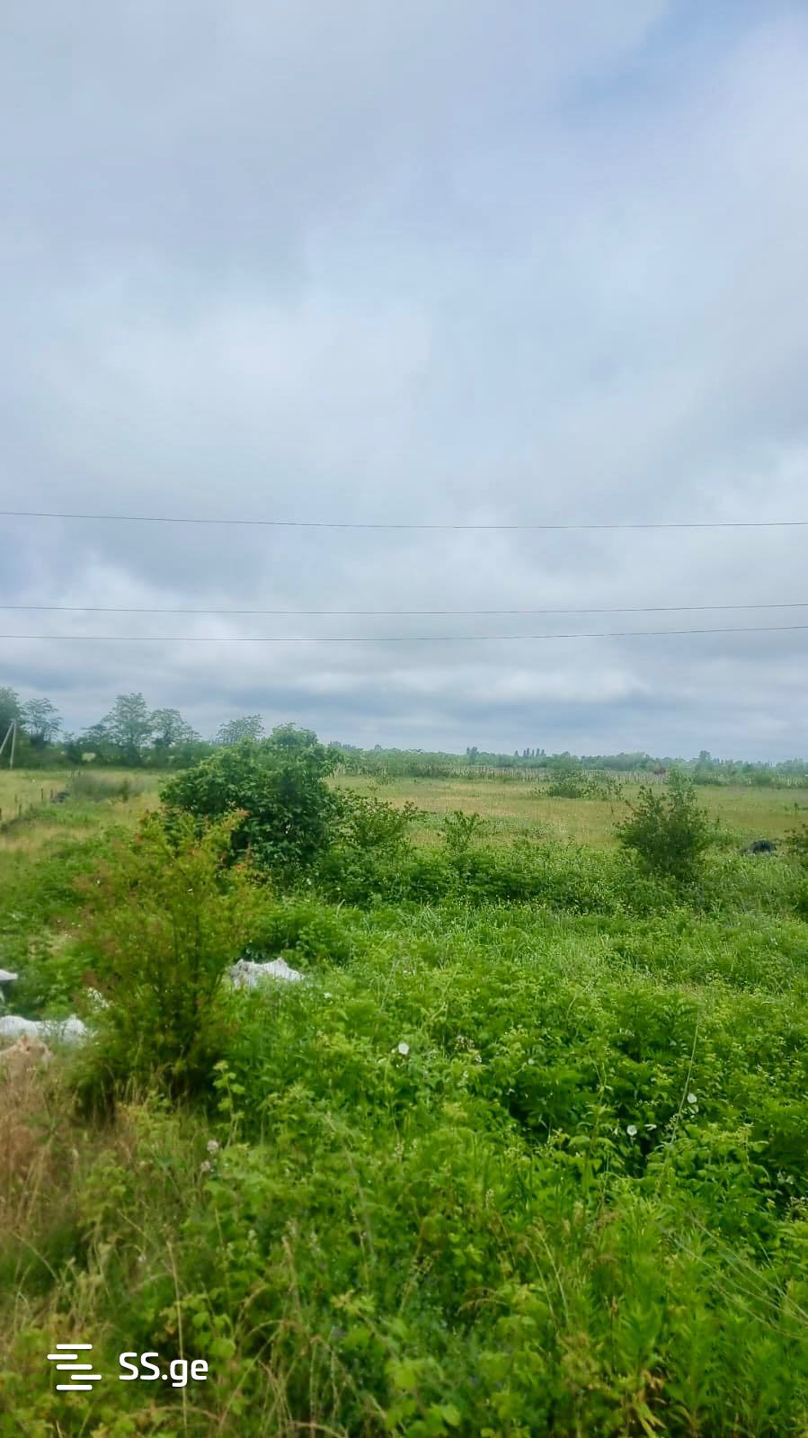 Land For Sale. Kutaisi view 8