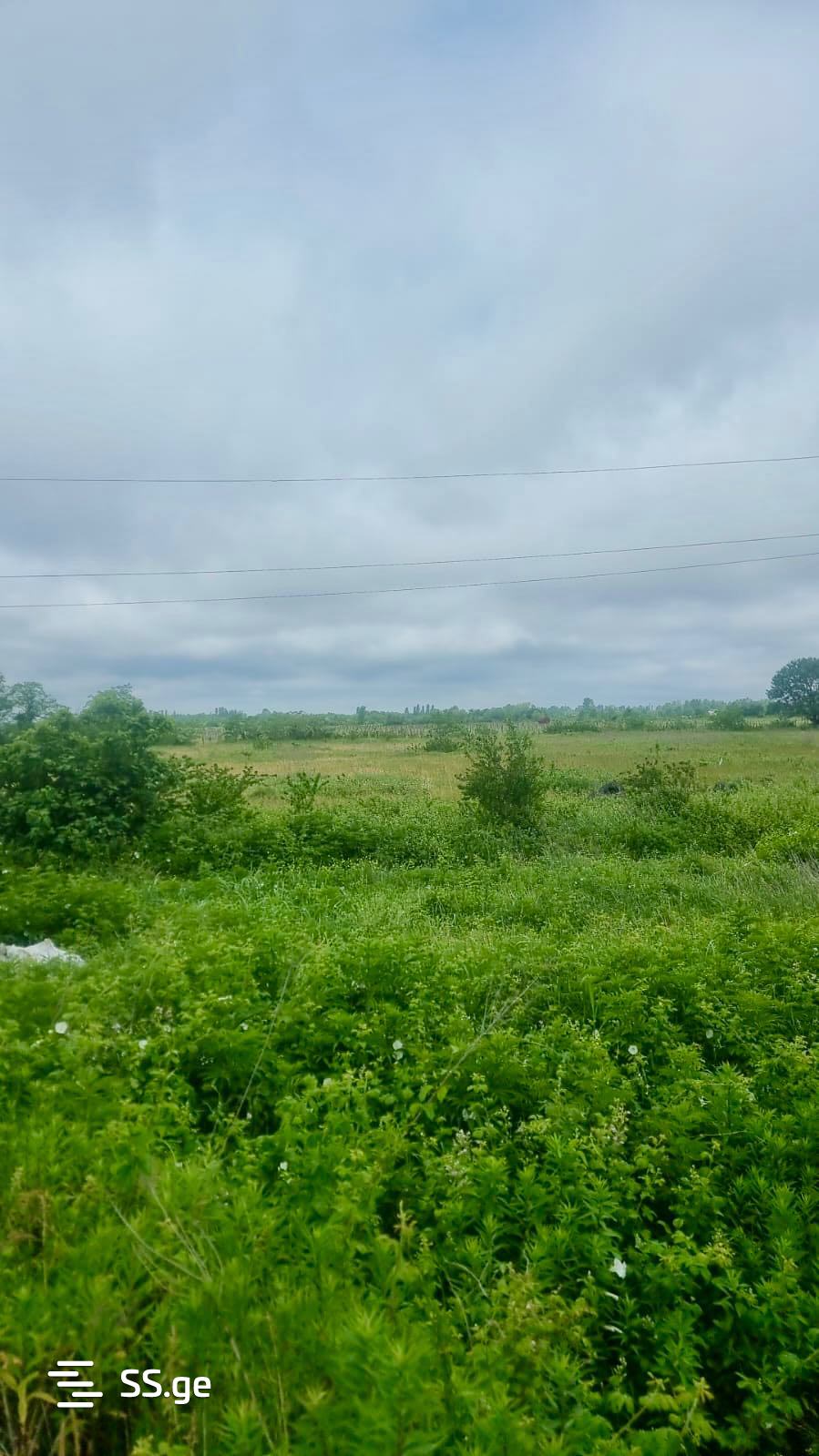 Land For Sale. Kutaisi view 6