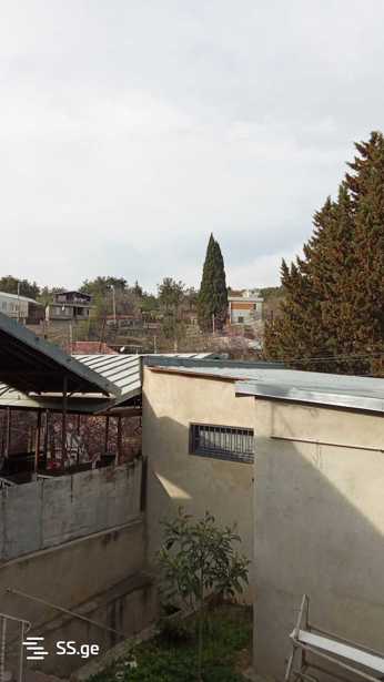 https://static.ss.ge/20250531/1_b860bdb1-e2f5-408d-a8be-bb36b847bcf0_Thumb.jpg