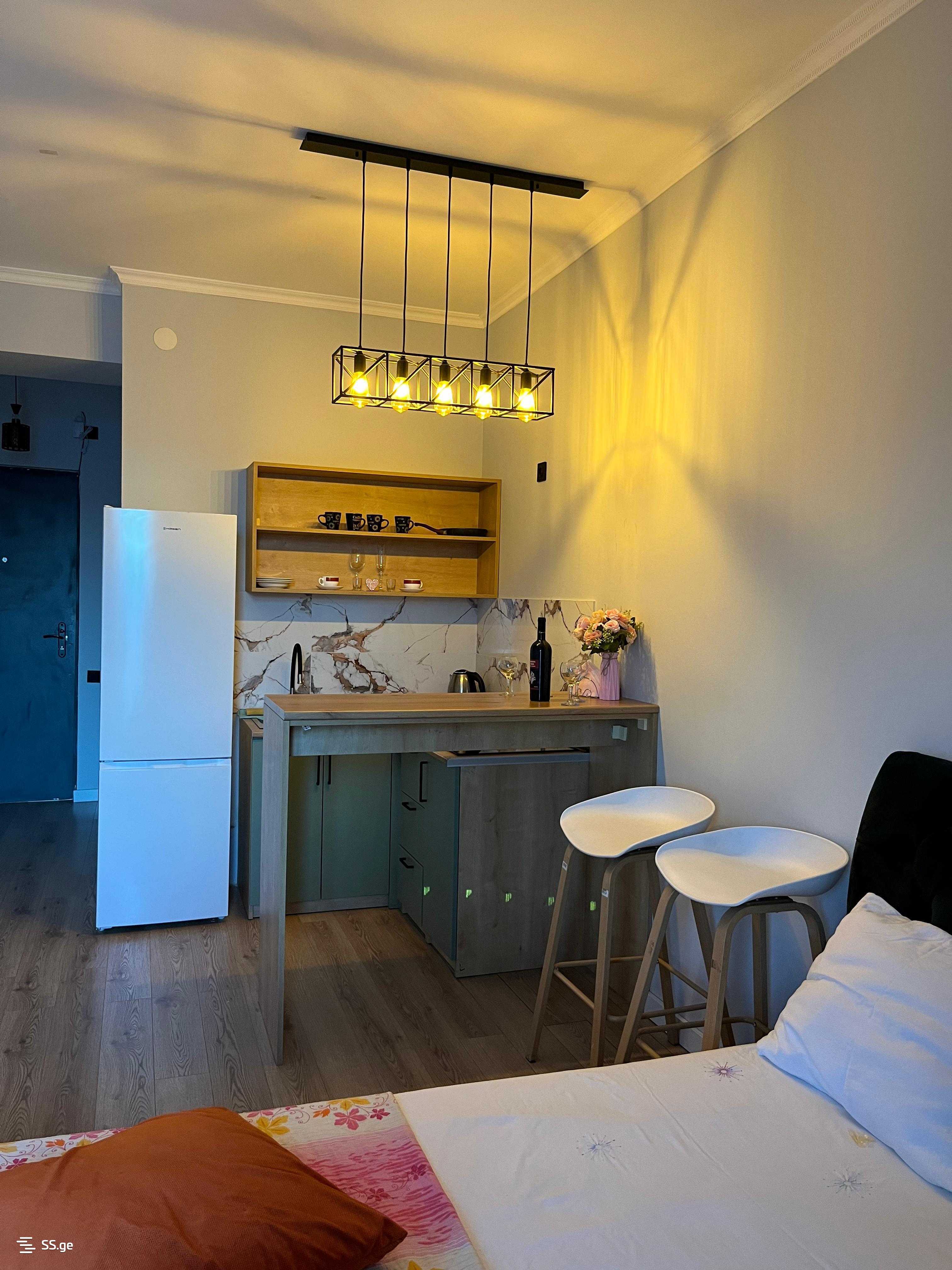 1 Room Flat Daily Rent. Nadzaladevi view 6