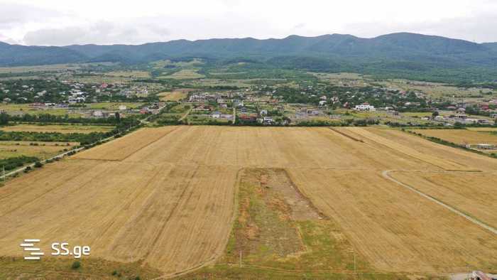 https://static.ss.ge/20250531/7_159ffaf6-d60d-43b0-b9ae-619a5308ab68_Thumb.jpg