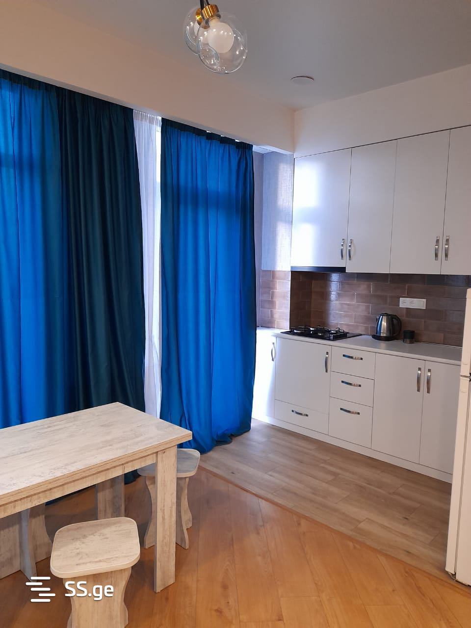 2 Room Flat Daily Rent. Didi Digomi view 4