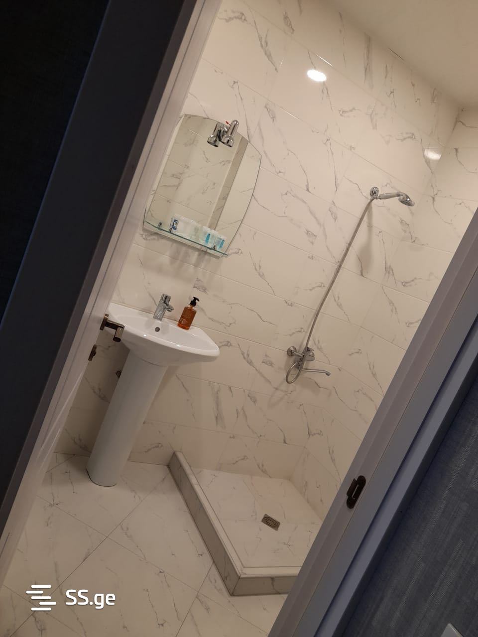 2 Room Flat Daily Rent. Didi Digomi view 7