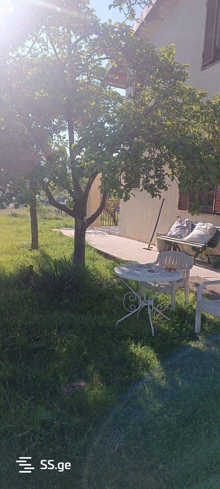 5 Room Summer Cottage Daily Rent. Tsavkisi view 4