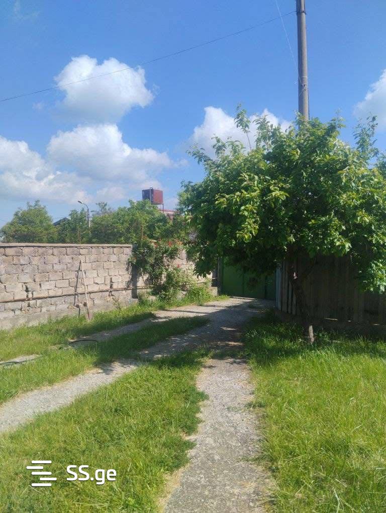 5 Room Summer Cottage Daily Rent. Tsavkisi view 7