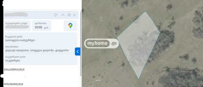 https://static.ss.ge/20250604/2_fe60b9e0-cc64-4c1c-ac0e-af31f4407274_Thumb.jpg