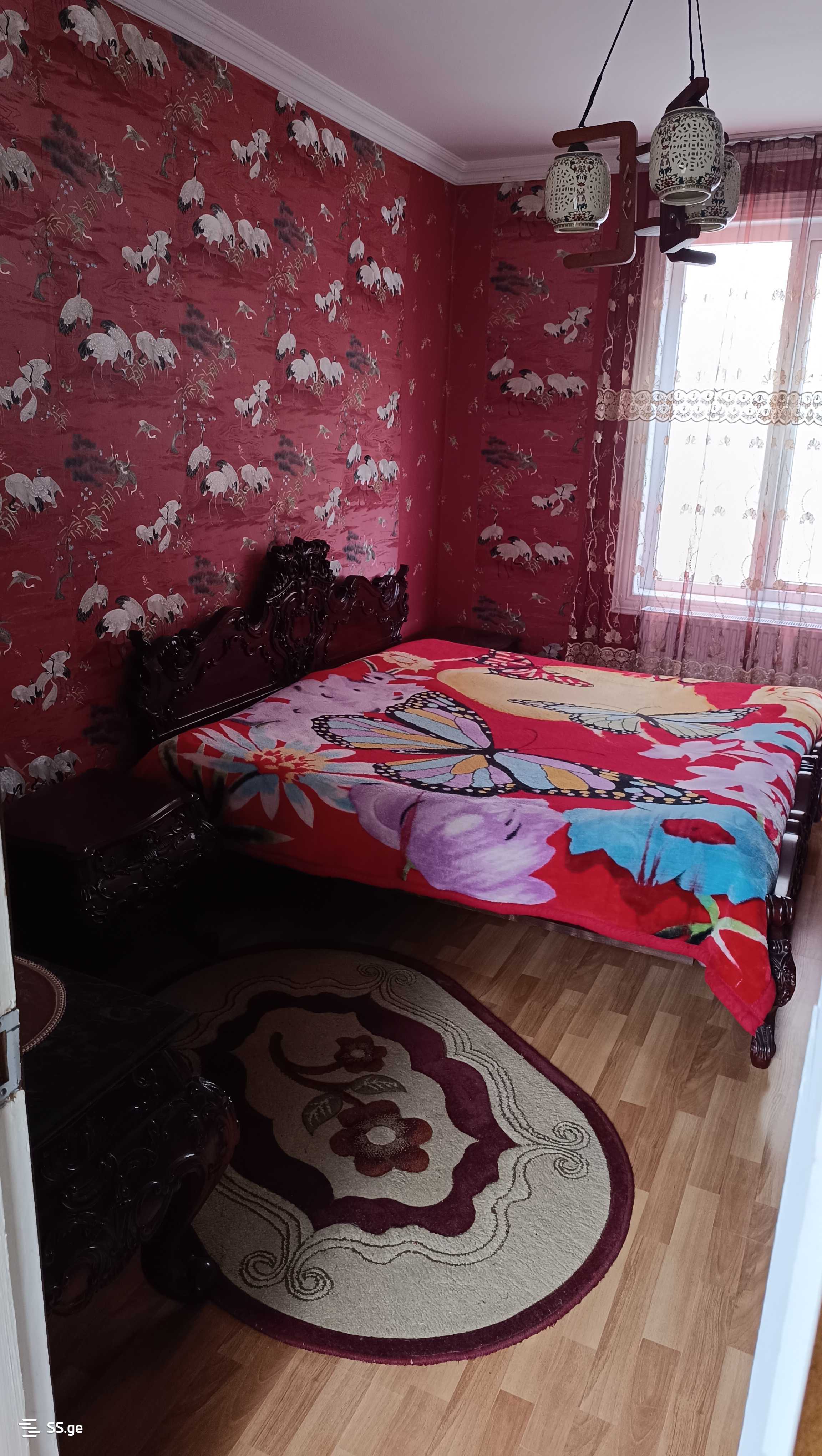 4 Room Private House For Rent. Zugdidi view 7
