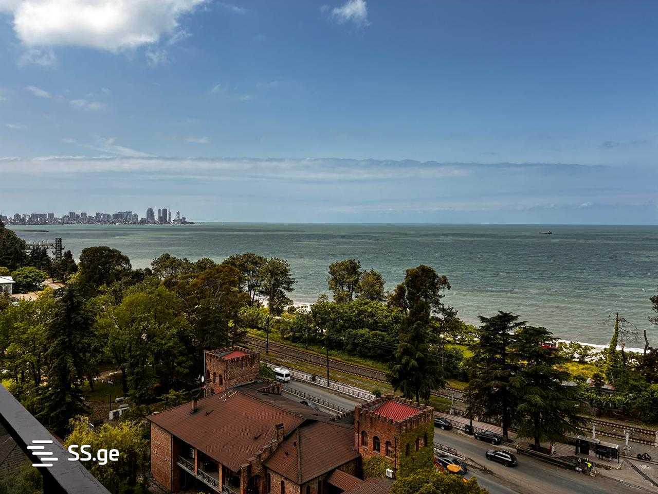 1 Room Flat For Rent. Makhindjauri view 5