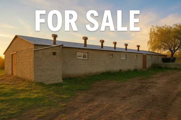 Store-Industrial property For Sale. Mukhrani