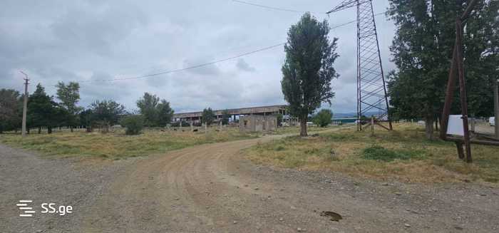 https://static.ss.ge/20250607/14_9a52dacf-41d8-459f-8a06-f00e1f3f0743_Thumb.jpg