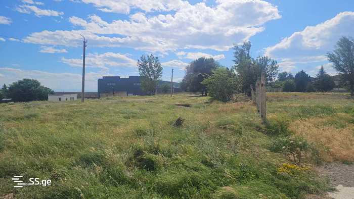 https://static.ss.ge/20250607/18_34cc3d65-a223-4489-b91e-b8b8c250d27d_Thumb.jpg