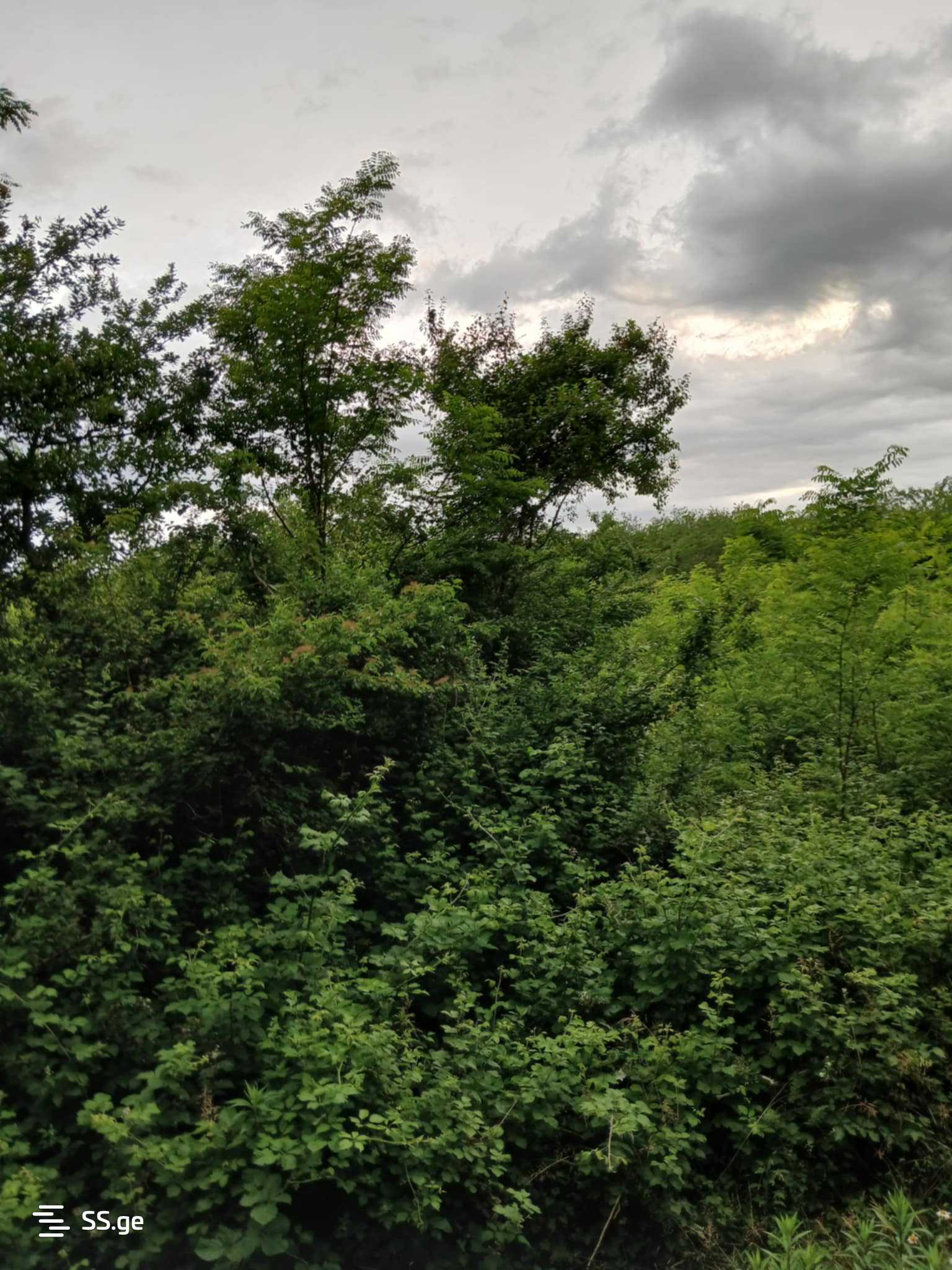 Продажа Земля в Кутаиси view 4
