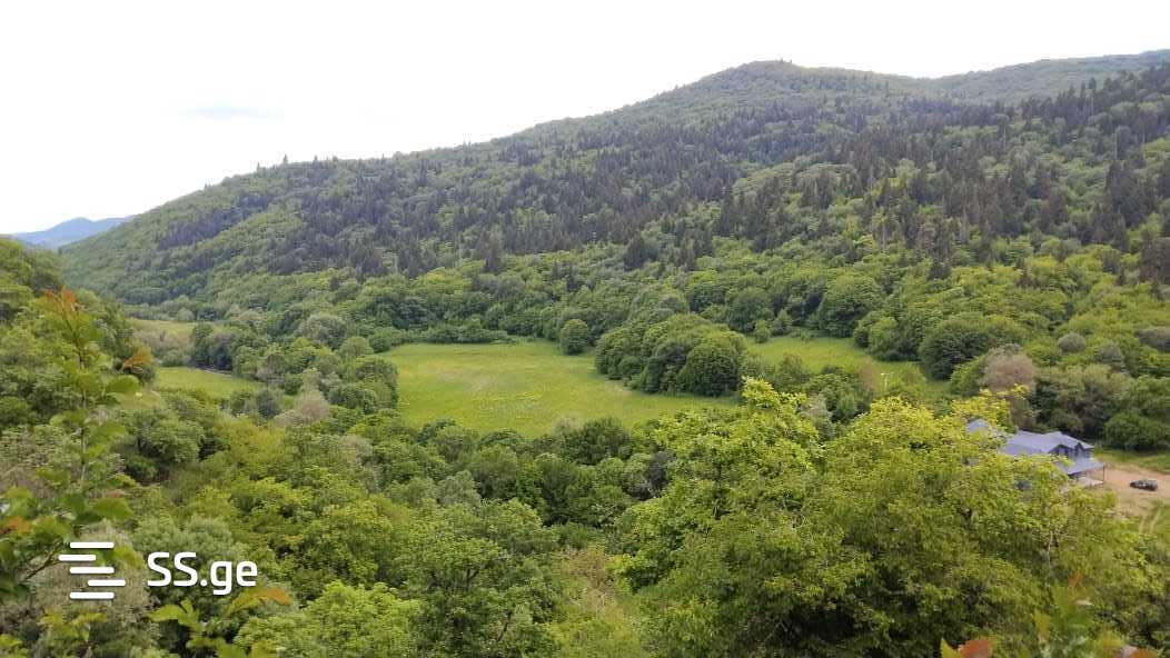 Land For Sale. Manglisi view 7