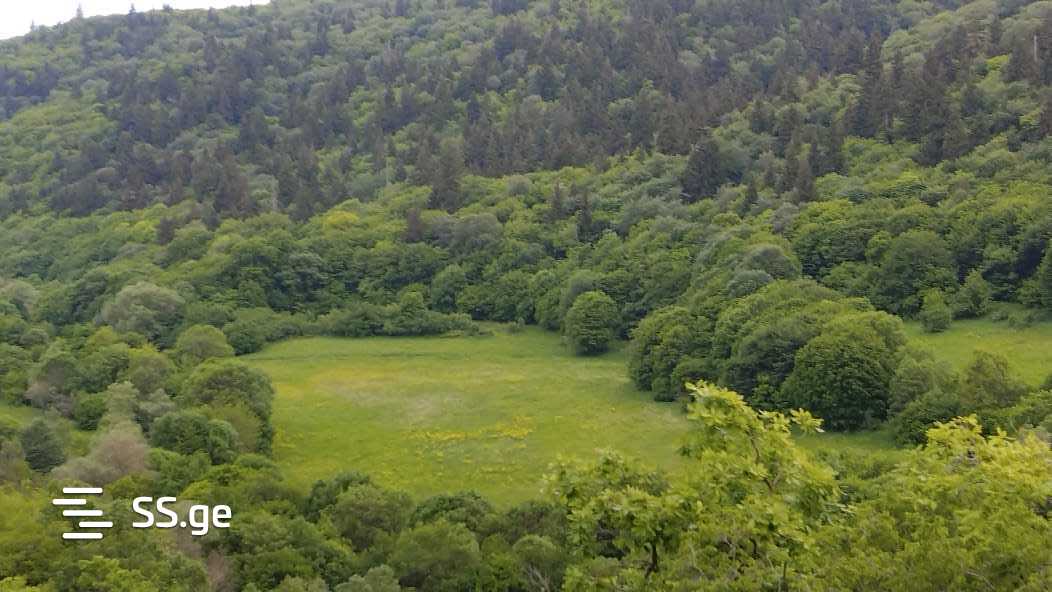 Land For Sale. Manglisi view 8