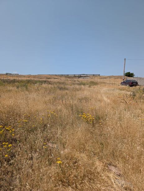 Land For Sale. Krtsanisi