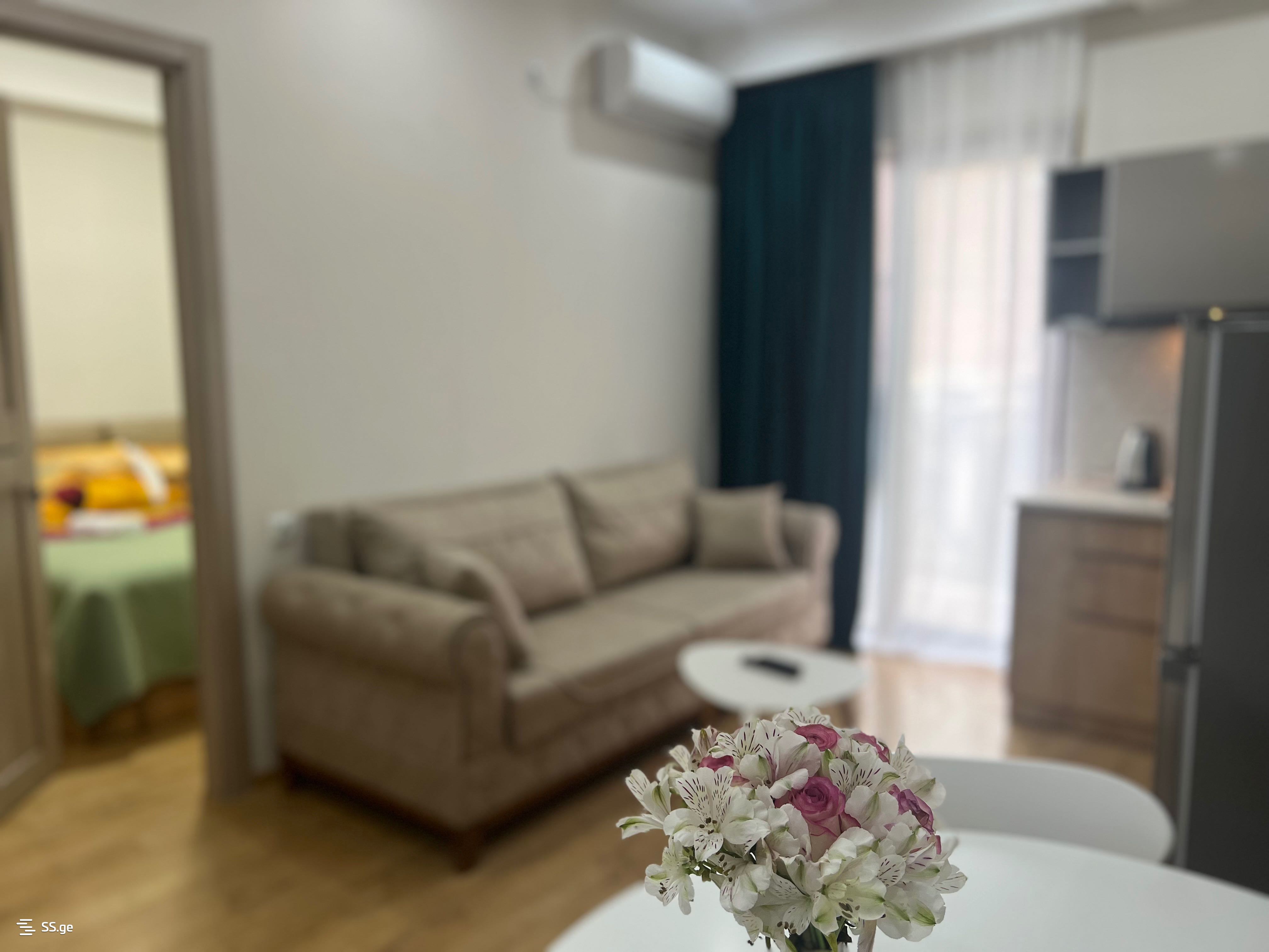 2 Room Flat Daily Rent. Kutaisi, 1 of 4