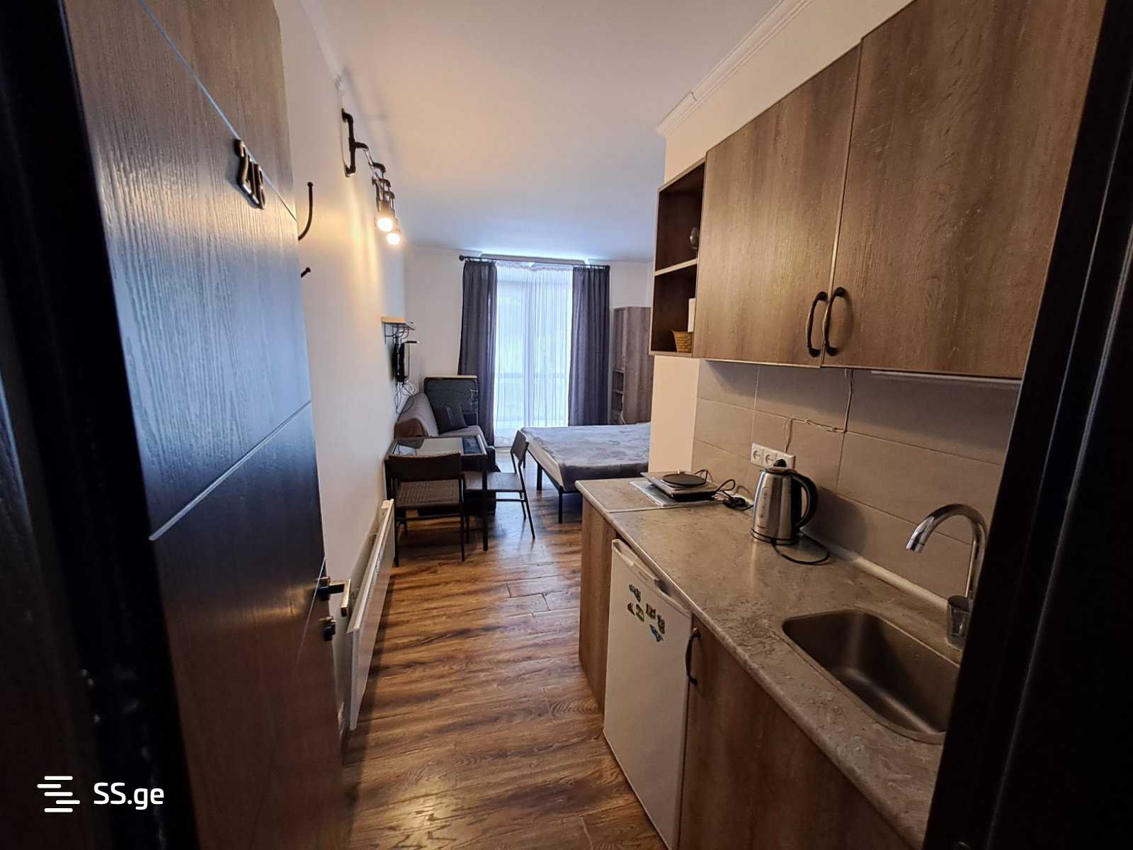 1 Room Flat For Rent. Bakuriani view 9
