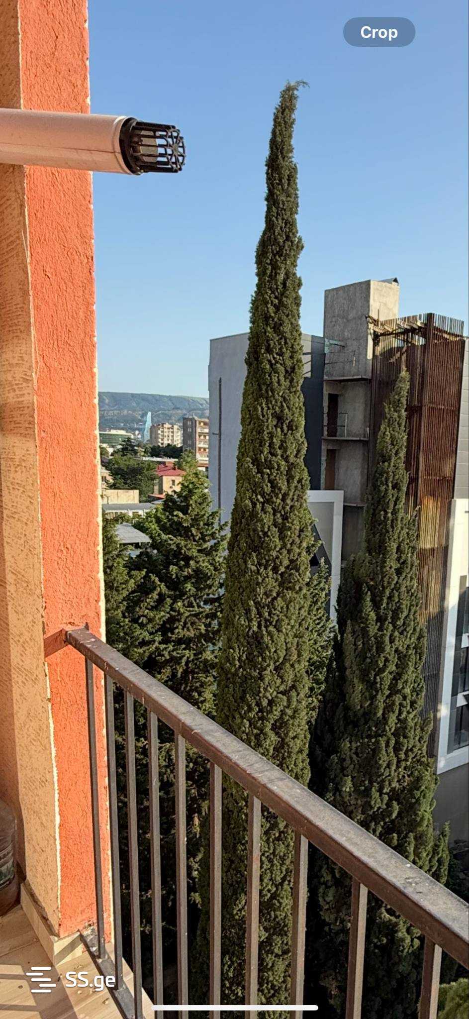 2 room Flat Daily rent. Didube – pohled 5