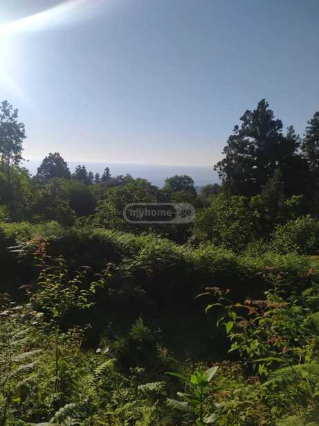 Land For Sale. Makhindjauri