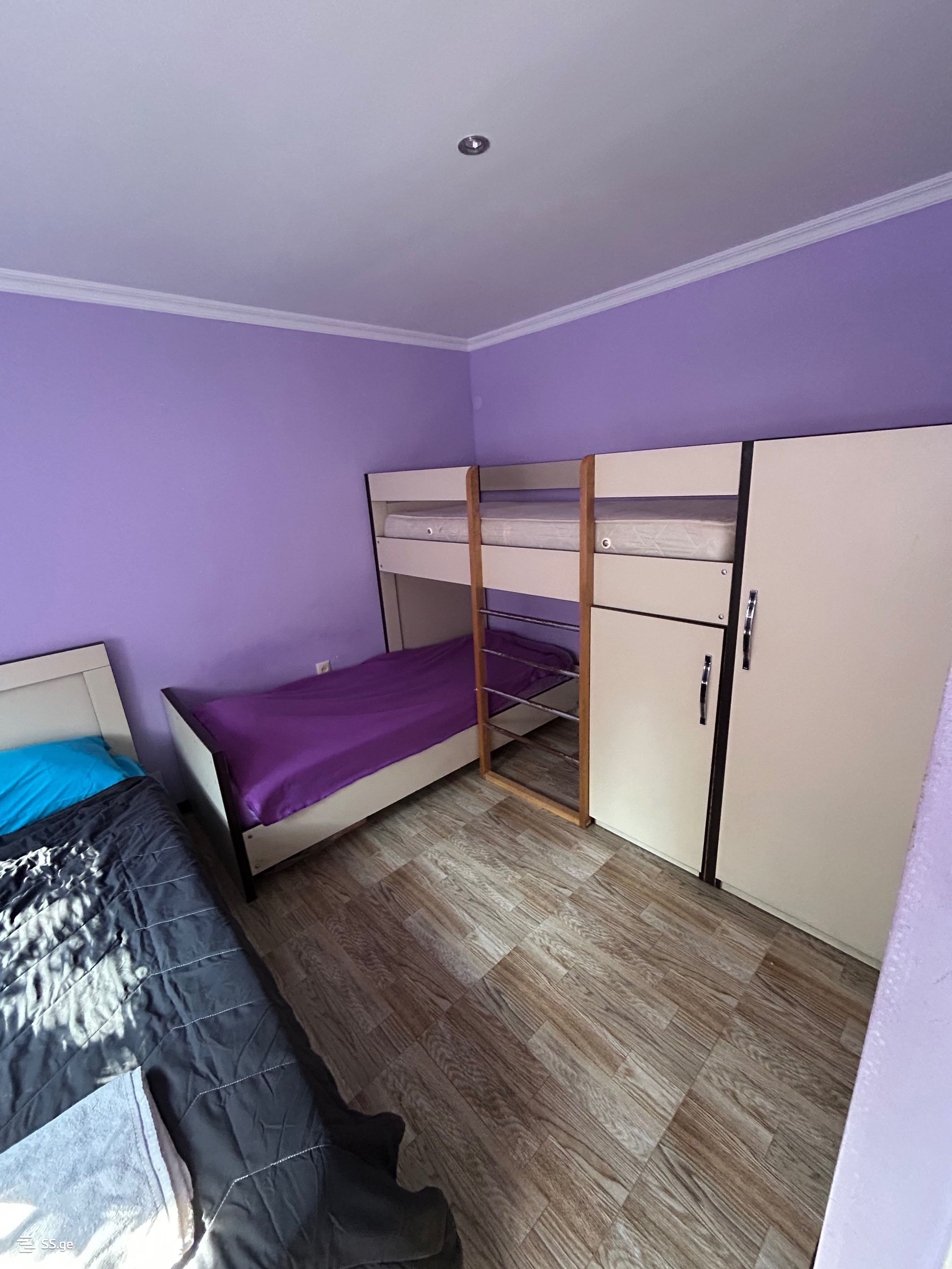 2 Room Private House Daily Rent. Grigoleti view 6