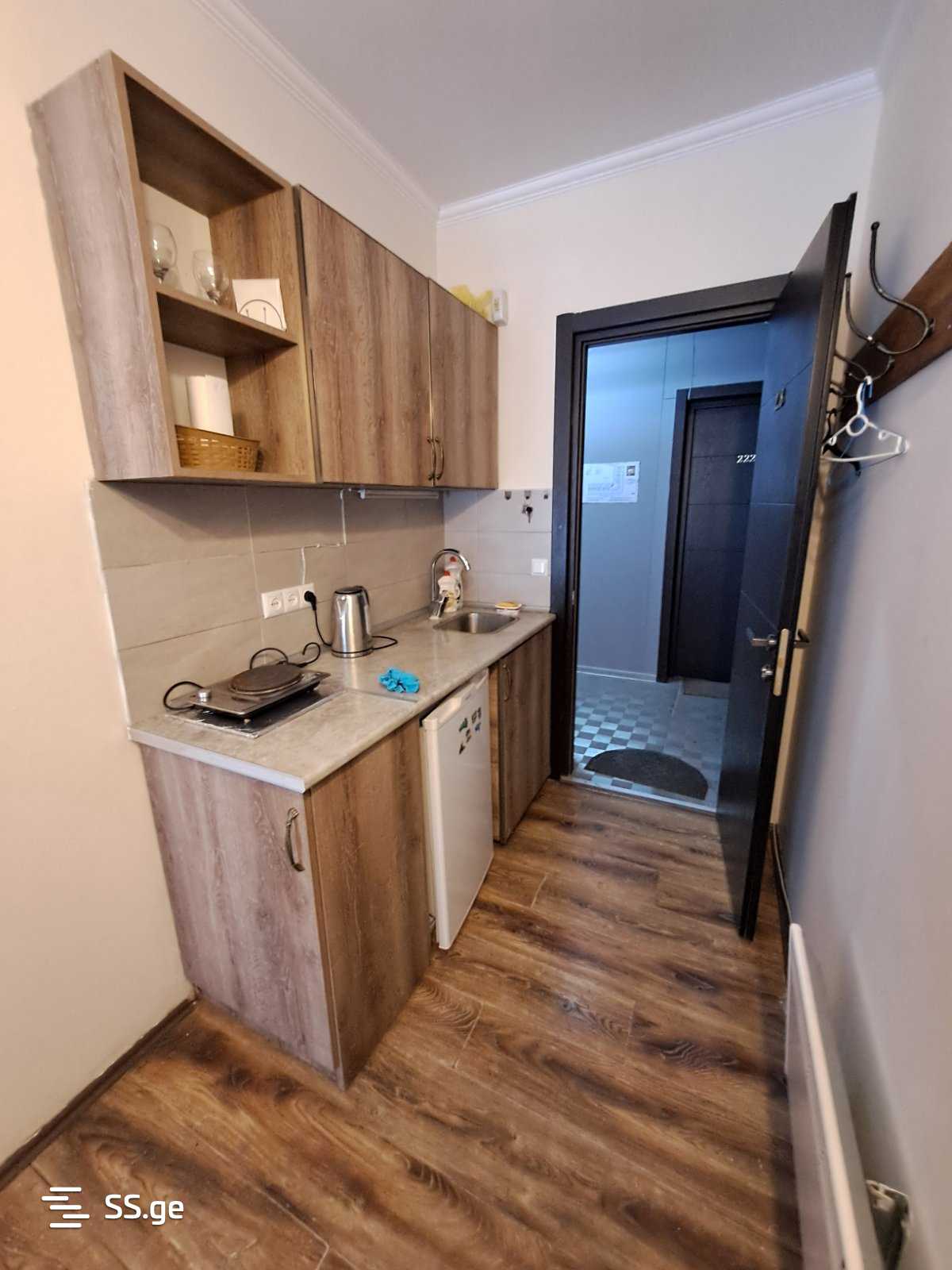 1 Room Flat For Rent. Bakuriani view 11