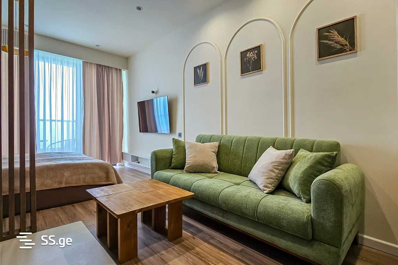 1 Room Flat Daily Rent. Tsikhisdziri view 10