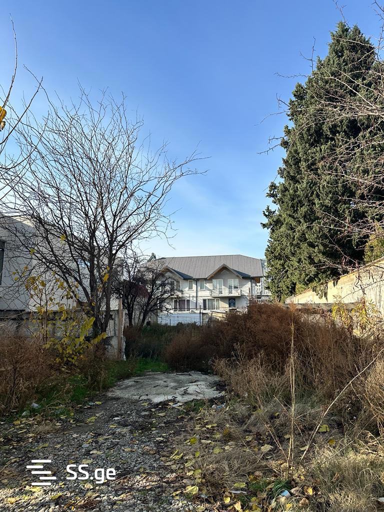 Land For Sale. Digomi view 8