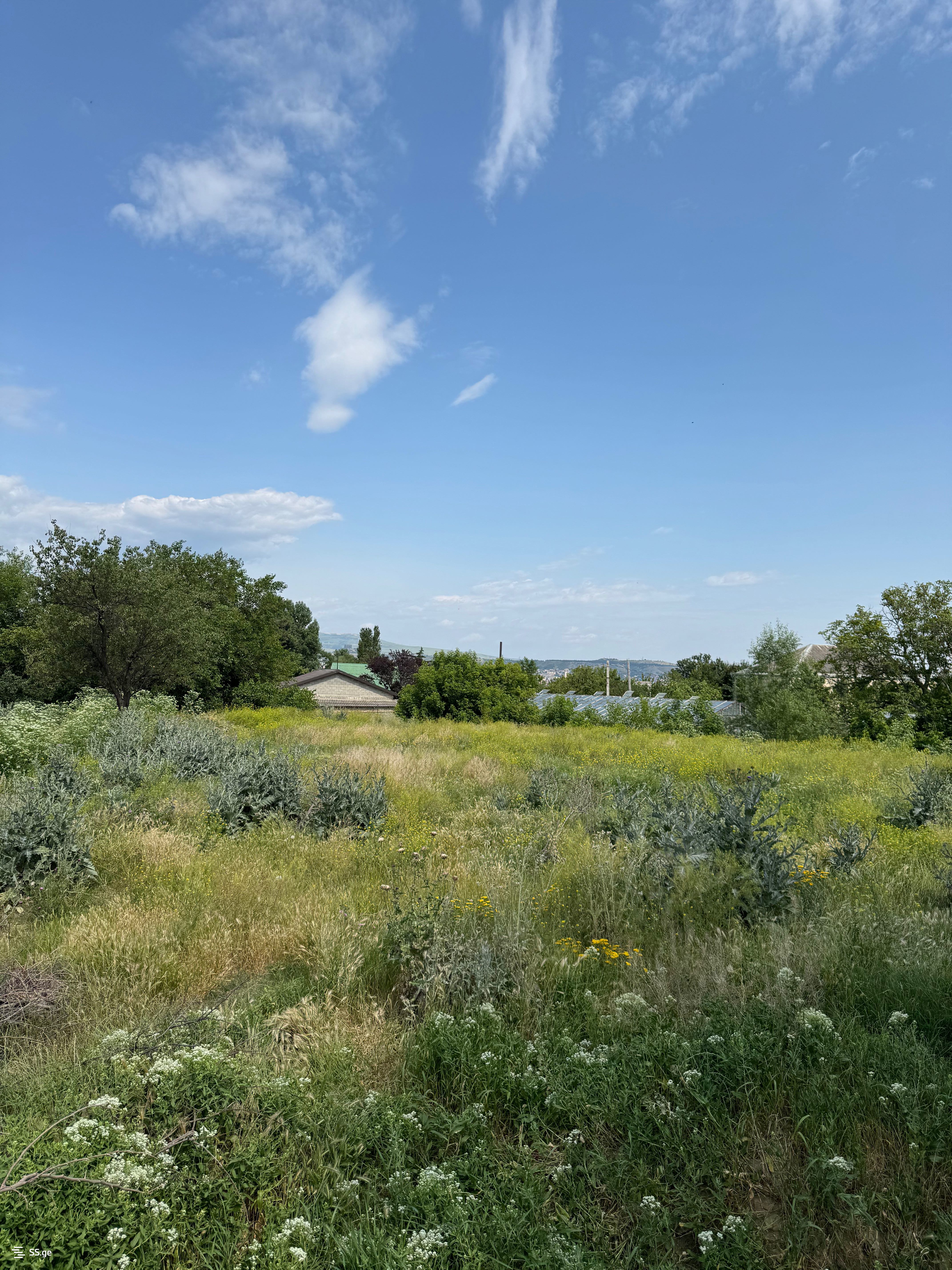 Land For Sale. Chugureti view 2